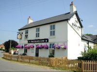  The Black Cow