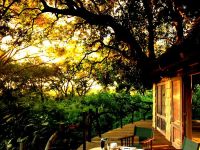  Lake Manyara Tree Lodge
