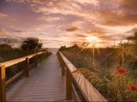  GullWing Beach Resort