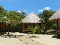  Cashew Grove Beach Resort