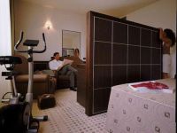  Aemilia Golden Tulip