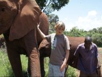  Avon Road Guest House & Tours