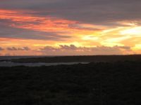  Ocean Terrace Condominiums