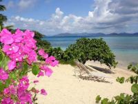  Mango Bay Resort Tortola