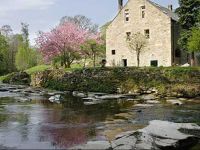  Dilston Mill B&B