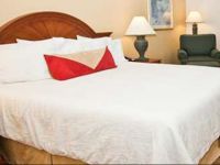  Hilton Garden Inn Addison