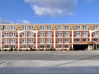  Best Western Gold Leaf