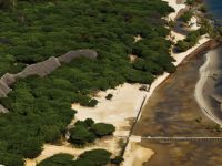  The Red Pepper House