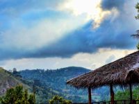  Ella Flower Garden Resort