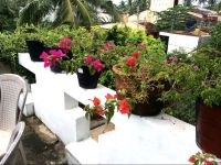  Mount Garden Guest Resort