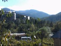  Borjomi Likani Homestay