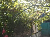  Homestay On Gabashvili 43