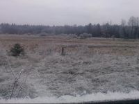  Agrousadba Lesnaya Skazka