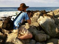  РћС‚РµР»СЊ 5*