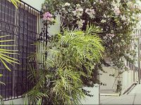  Caribbean Palms Inn