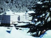  Magic Life Kartanesi