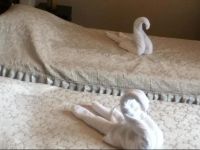  Hotel Slavova Krepost