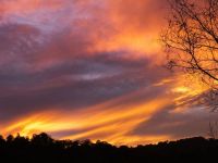  Simba Sunrise Bed & Breakfast