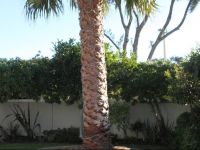  CozyCave Self-Catering Apartment