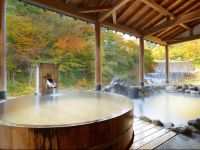  Sansuiso Tsuchiyu Spa