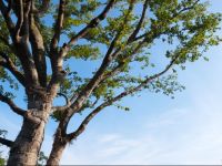  Yufuin Bettei Itsuki