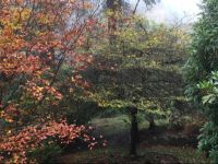  Mountain Top Retreat