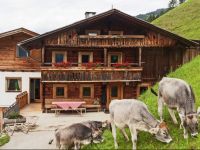  Holiday home Hamberg Alm