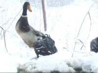  Biobauernhof Unterhub