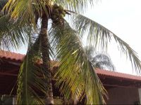  EstГўncia Flamarion