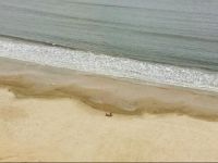  Lindo Apartamento Para Temporada Em SГЈo Vicente Sp