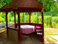  KlГЎra VendГ©ghГЎz