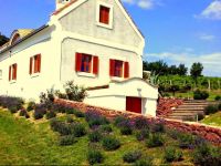  Pasztovszki BorkГєria