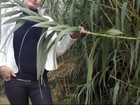  Holiday home Rampias