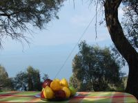  Chris and Nick Corfu Villa