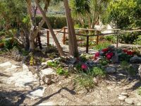  Villa Lofos Wood & Stone