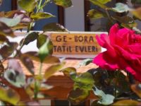  Gebora Suits & Tatil Evleri