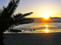  Baleal-Peniche Apartment