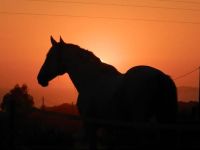  Herdade Do Pessegueiro