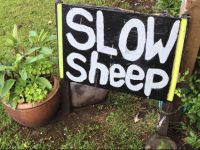  SlowSheep B&B