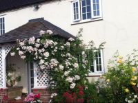  Mulsford Cottage B&B