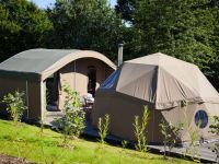  Durrell Wildlife Camp at Jersey Zoo