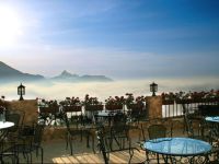  Cases Noves - Adults Only