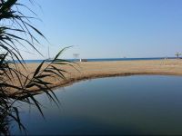  Canyamar Beach Hotel