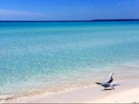  Apartamentos DГєplex SEstanyol de Migjorn