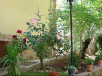  Casa Rural Ruiz Hernando