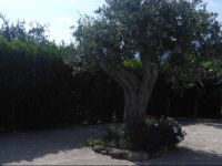  Affittacamere La Selva