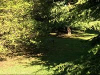  Centro di SpiritualitГ  Maria Candida