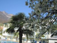  Hotel Thalhof am See