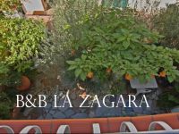  La Zagara