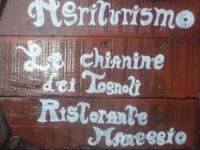  Le chianine dei Tognoli